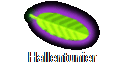 Hallentunier