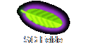 SG Felde